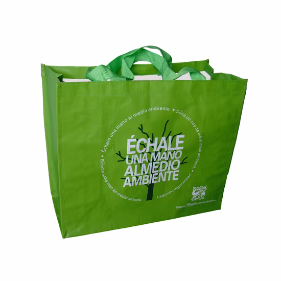 Sacola de compras ecológica para reciclagem (HBE-G-2)