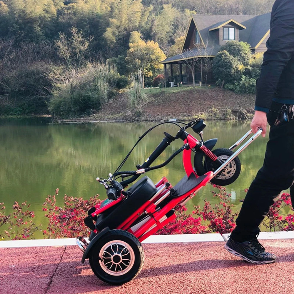 Wholesale Three Wheels Adult Tricycle Citycoco Electric Scooter