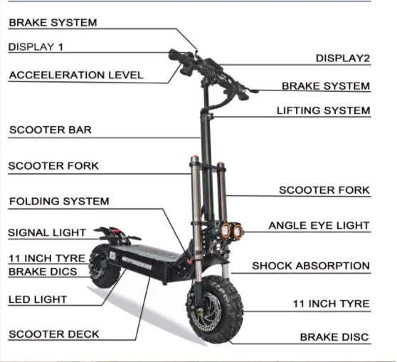 Citycoco Electric Scooter 1000W 48V Electric Scooter 10inch 2 Motor Wheel Lithium Battery Adult Fat Tire Folding Skateboard