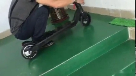 Roda motriz 600 watts duas rodas scooter elétrica equilíbrio inteligente