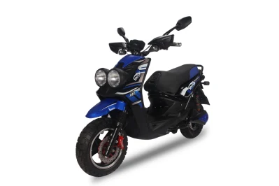 1000 W Potente Bicicleta Elétrica Adulto/Scooter Elétrica/Scooter Elétrico para Motocicleta (BWS)